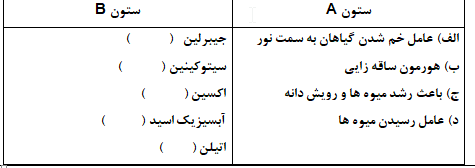 دریافت سوال 11